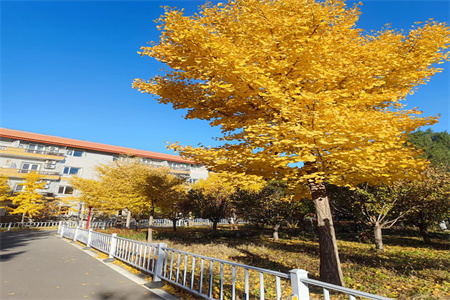 北京東方紅學校