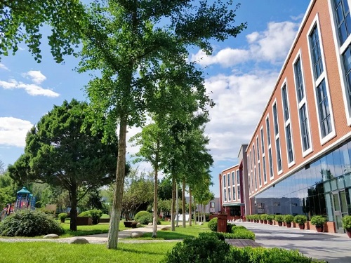 北京德威英國國際學(xué)校A-level課程