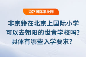 ǾڱχHСWȥꖵWУ᣿wWҪʲô