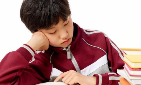 北京市私立匯佳學校小學入學政策