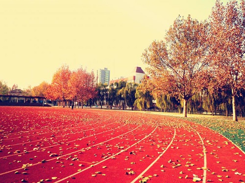 海南楓葉國際學(xué)校