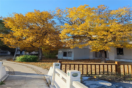 北京東方紅學校