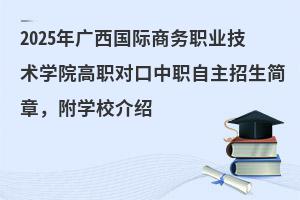 2025VH̄IgWԺ£WУB