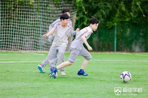 北京愛迪國際學校排名及收費情況