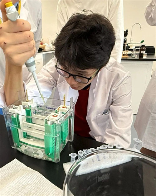 朝陽凱文STEAME未來中心