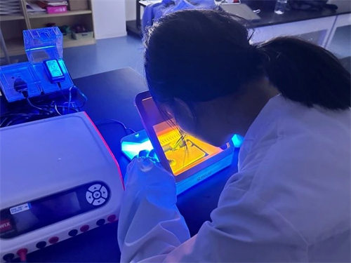 微朝陽凱文STEAME未來中心