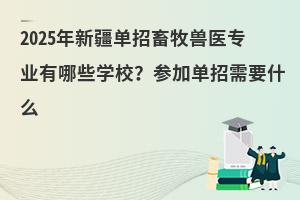 2025½FtIЩWУӆҪʲô