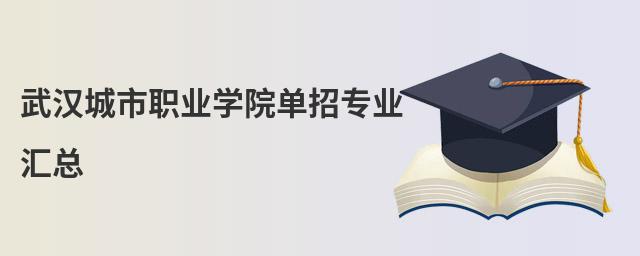 武漢城市職業(yè)學(xué)院單招專業(yè)匯總