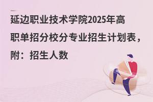 ߅IgWԺ2025зУ֌IӋ˔