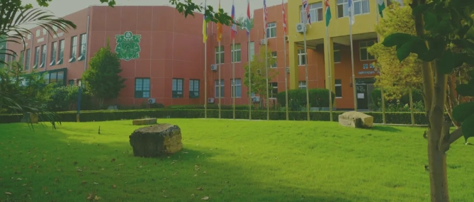 北京市通州區(qū)私立樹人學校開放日