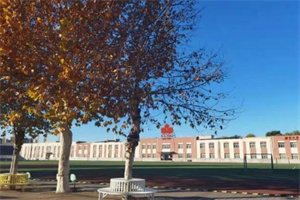 北京中加學校.jpg