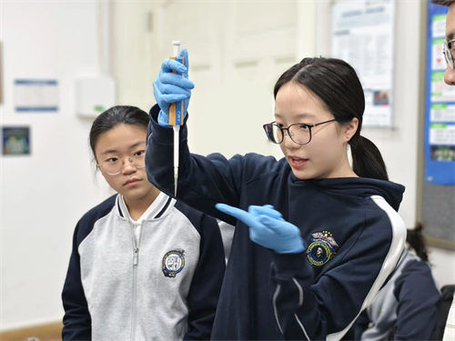 天津法拉古特學校錄取