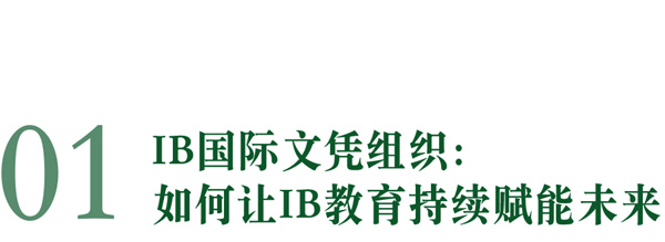 IB是什么