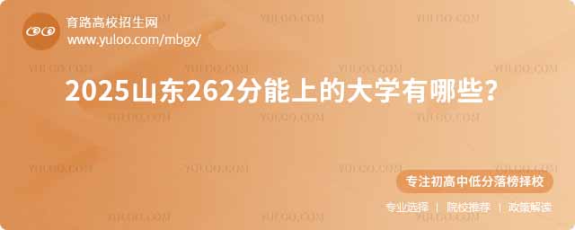 2025山東262分能上的大學(xué)有哪些?