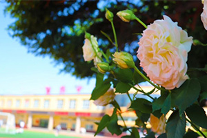 喜報!三河市燕橋學校高一年級聯考取得佳績!