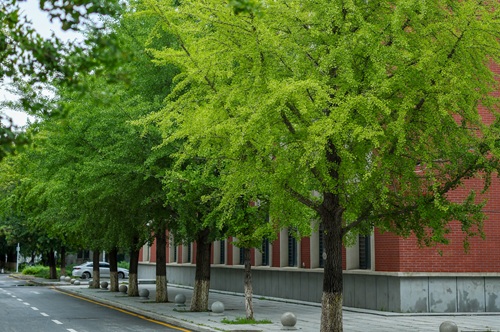 沈陽國際高中一年多少錢