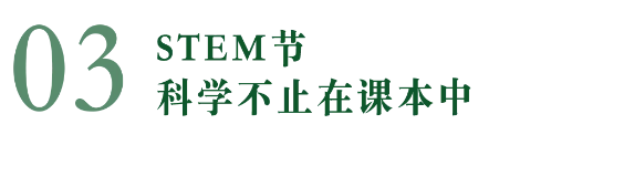 匯佳小學部科學競賽