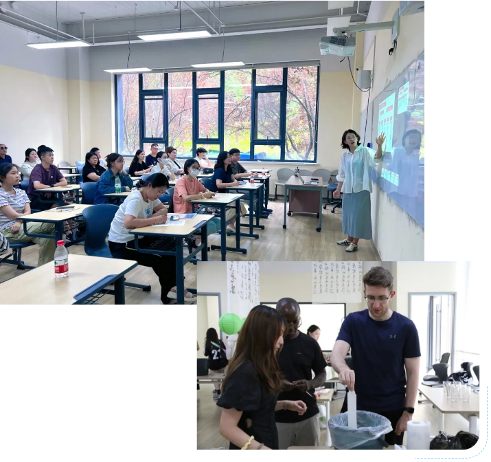 領科教育北京校區全球錄取捷報