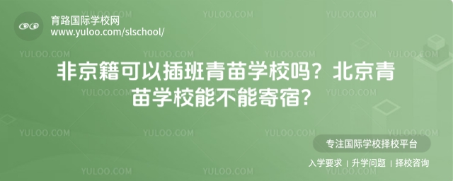 非京籍可以插班青苗學校嗎?北京青苗學校能不能寄宿?