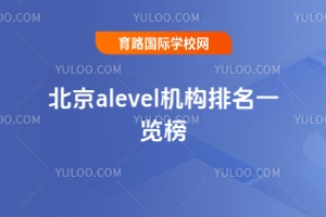 2025걱alevelC(j)(gu)һ[