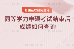 2025ɿԃԣͬȌWTԇYɿβԃ