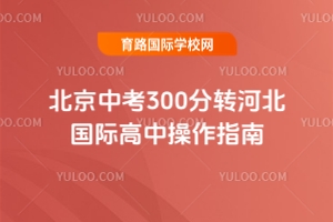 2025걱п300D(zhun)ӱHвָ