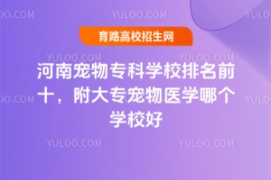 河南寵物專科學(xué)校排名前十,附大專寵物醫(yī)學(xué)哪個學(xué)校好