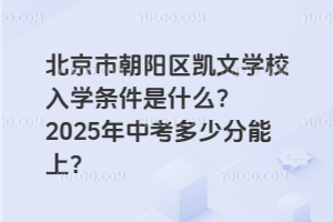 北京市朝陽區凱文學校入學條件是什么？2025年中考多少分能上？