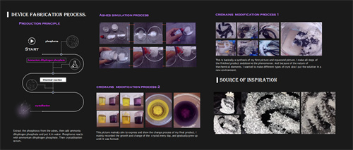 愛迪畢業生|陳梓暢