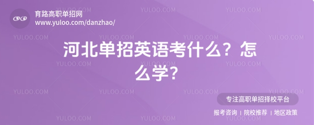 河北單招英語考什么?怎么學(xué)?