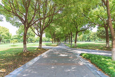 非全日制研究生學(xué)費(fèi)性價(jià)比高院校排名