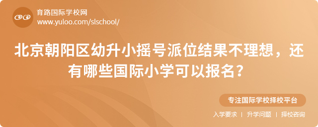 朝陽區幼升小搖號派位結果不理想報名國際小學