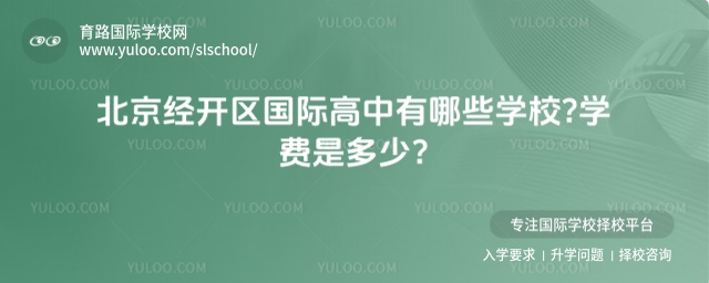 北京經(jīng)開區(qū)國際高中有哪些學(xué)校