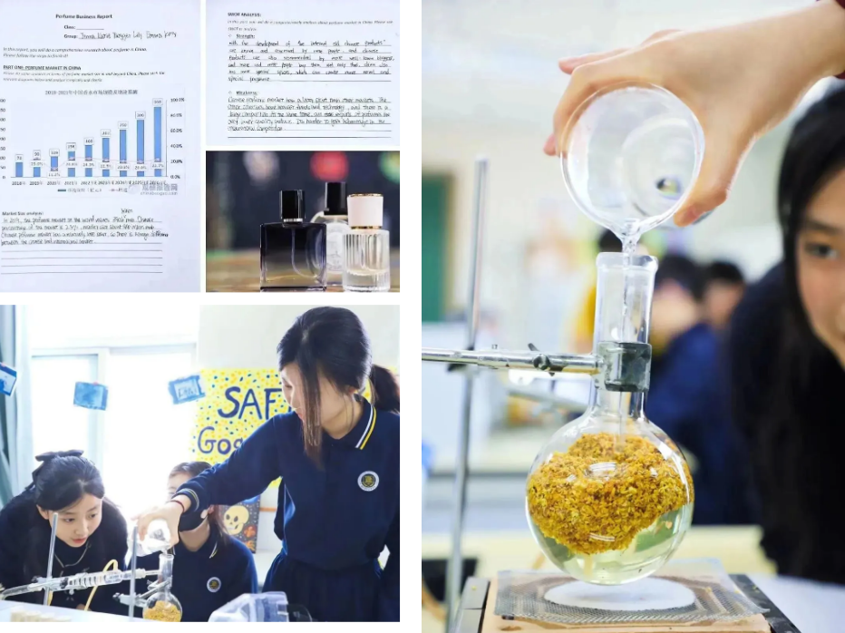 新府學初小部澳大利亞科學測評成績
