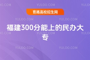 2025年福建300分能上的民辦大專有哪些?