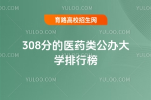 308ֵtˎkWа2025