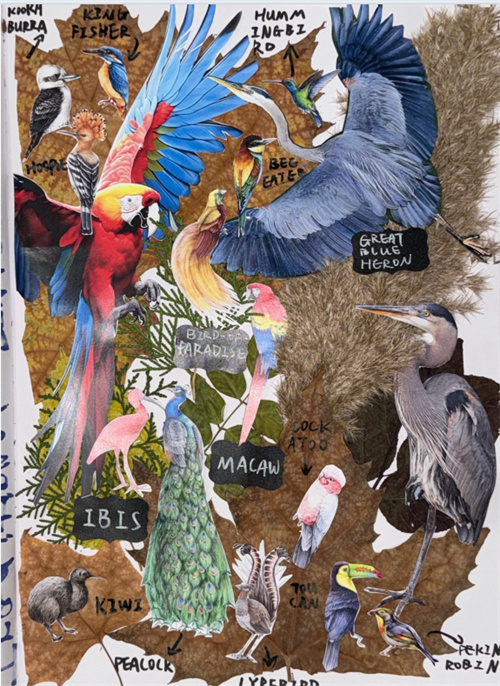 天津法拉古特學校錄取