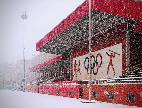 石家莊嘉貝國際高中(43中校區(qū))