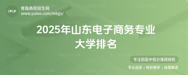 2025年山東電子商務專業大學排名