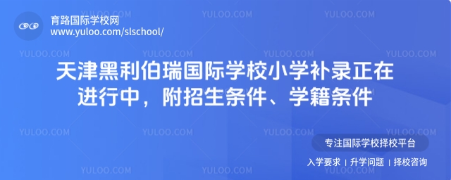 天津黑利伯瑞國際學校小學補錄正在進行中,附招生條件、學籍條件