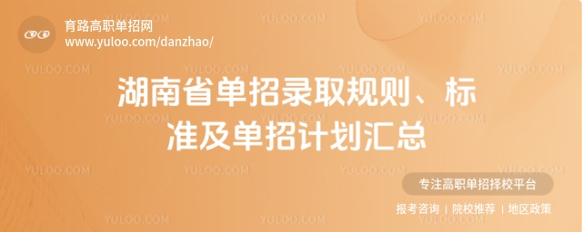 2025湖南省單招錄取規則、標準及單招計劃匯總
