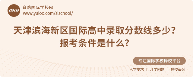 2025年天津濱海新區國際高中錄取分數線多少