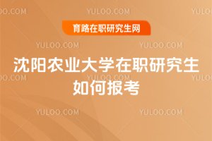 沈陽農業大學在職研究生如何報考
