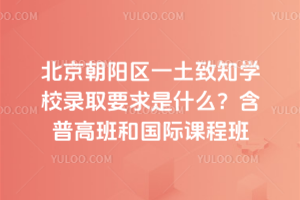 北京朝陽區一土致知學校錄取要求是什么？含普高班和國際課程班
