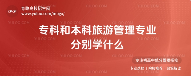 專科和本科旅游管理專業分別學什么?