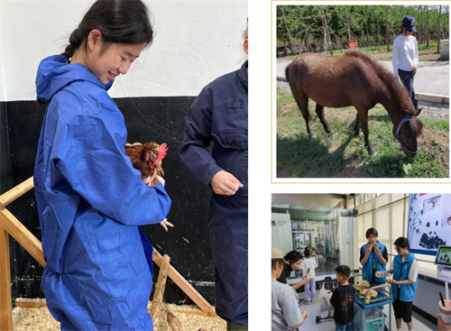 德閎優(yōu)秀畢業(yè)生