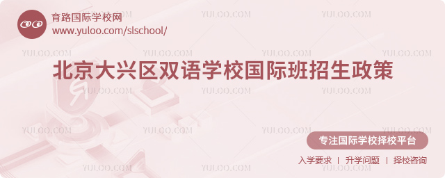 2025年北京大興區雙語學校國際班招生政策
