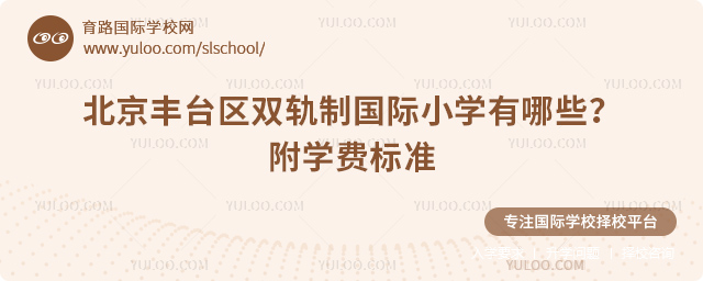 2025年北京豐臺區雙軌制國際小學有哪些