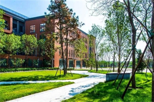 北京中學國際部