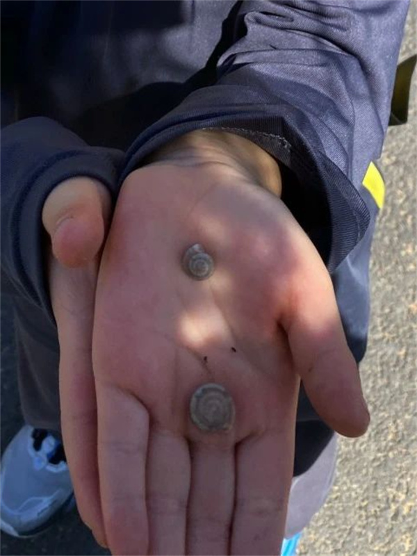 朝陽凱文學前班課堂體驗